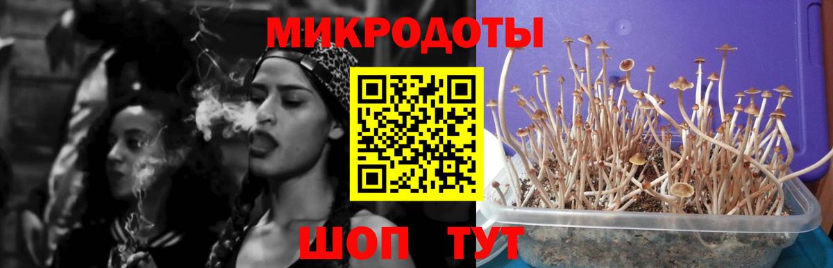 Псилоцибиновые грибы MAGIC MUSHROOMS  купить закладку  Мытищи  Вход с VPN 